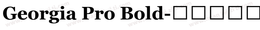 Georgia Pro Bold字体转换